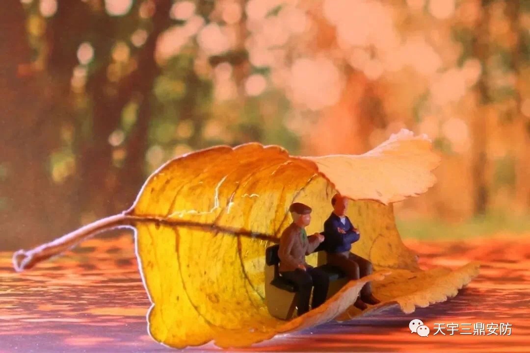 <b>家庭配景音樂系統(tǒng)為家庭生涯注入流動音符</b>