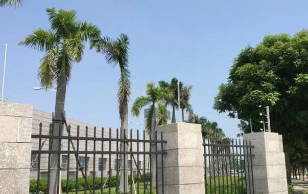 <b>校園張力電子圍欄建設(shè) 隔離危險 嚴守校園清靜第一道防地</b>