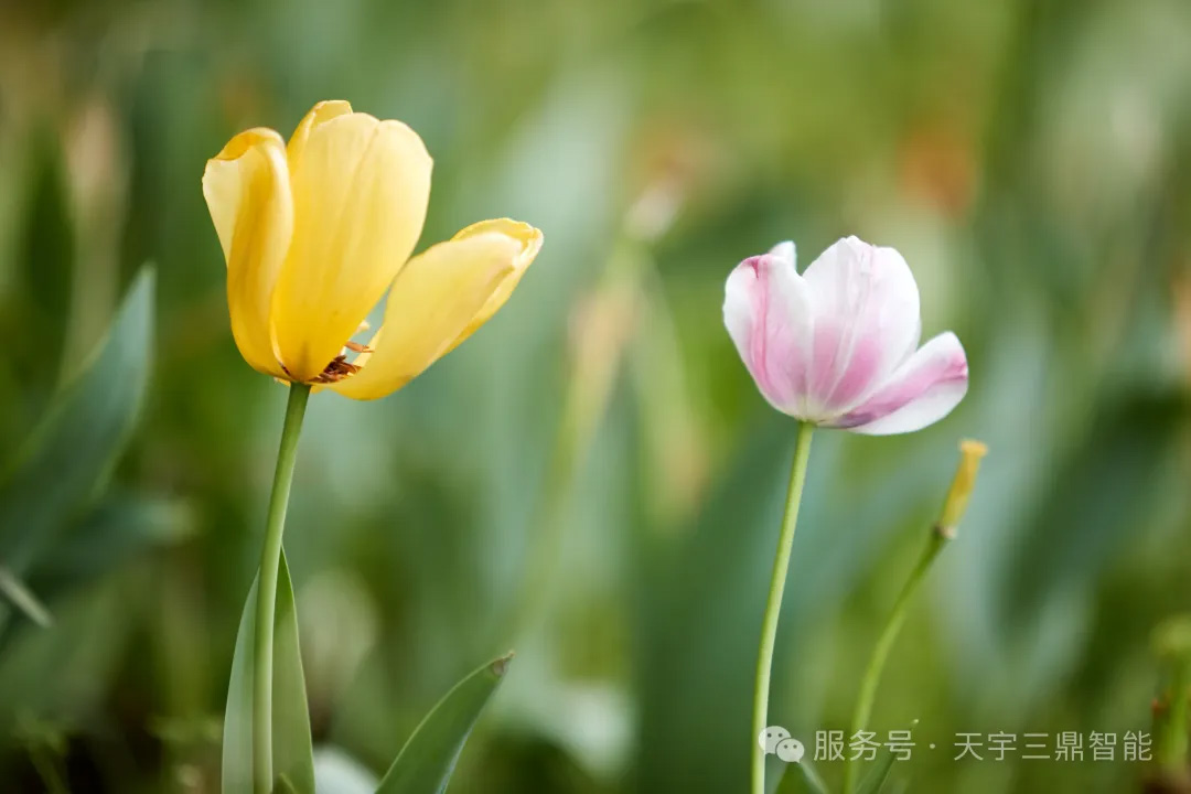 <b>《于通俗的歲月中感知生命：愿你被時光善待 被歲月呵護》</b>
